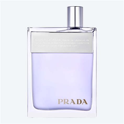 prada pour homme|prada amber pour homme discontinued.